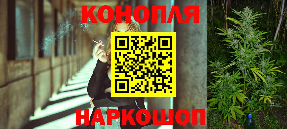 Марихуана сатива Асино